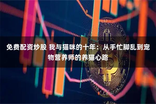 免费配资炒股 我与猫咪的十年：从手忙脚乱到宠物营养师的养猫心路