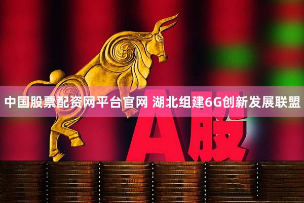 中国股票配资网平台官网 湖北组建6G创新发展联盟