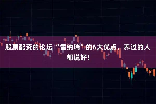 股票配资的论坛 “雪纳瑞”的6大优点，养过的人都说好！