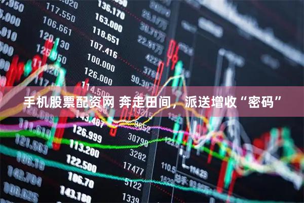 手机股票配资网 奔走田间，派送增收“密码”